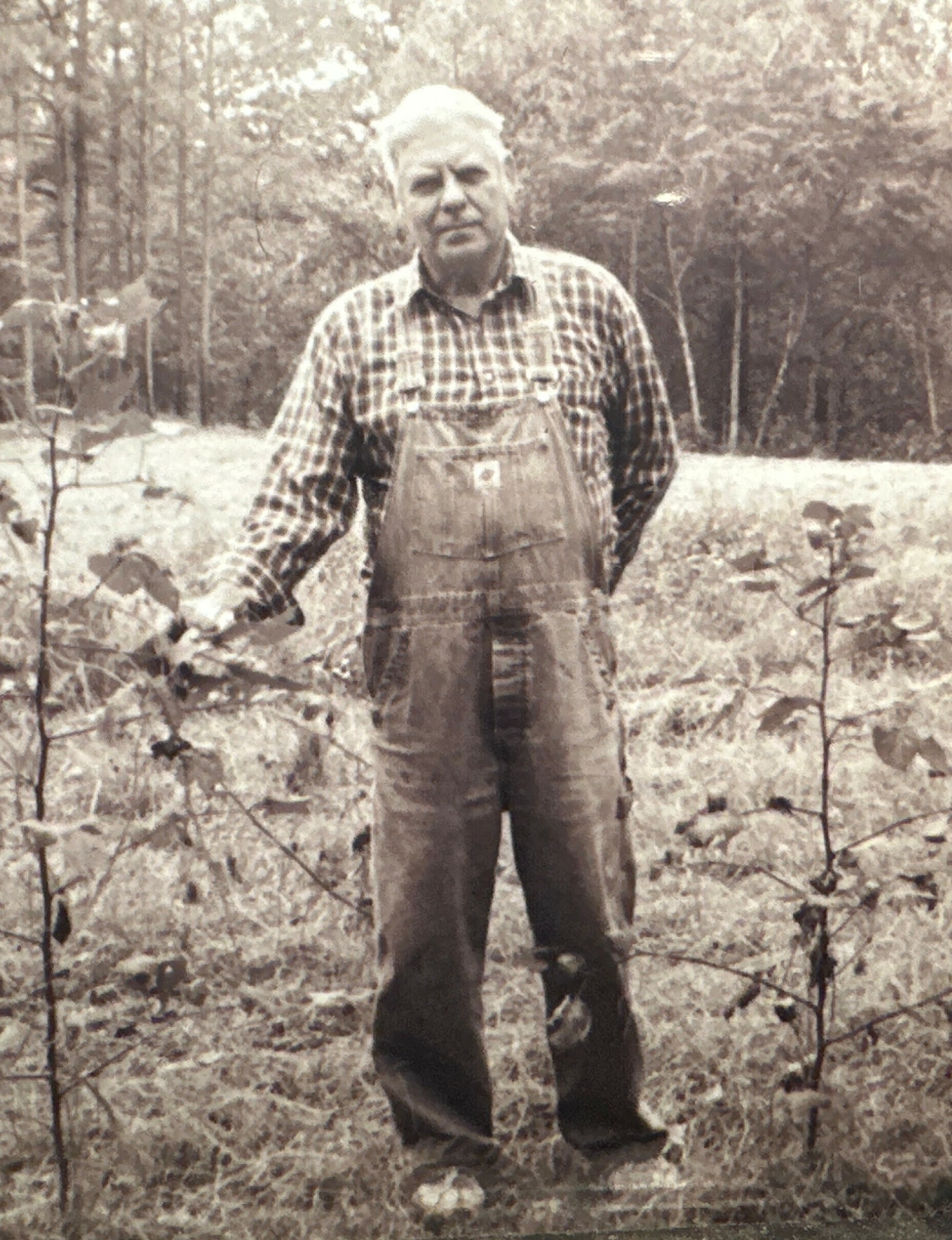 Roy  Bunn